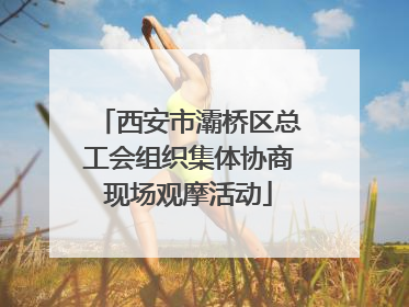 西安市灞桥区总工会组织集体协商现场观摩活动