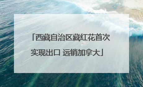 西藏自治区藏红花首次实现出口 远销加拿大