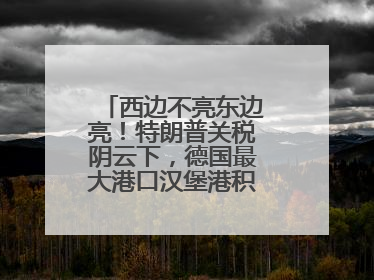 西边不亮东边亮！特朗普关税阴云下，德国最大港口汉堡港积极“向东看”