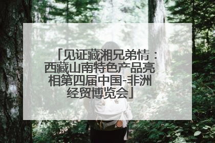 见证藏湘兄弟情：西藏山南特色产品亮相第四届中国-非洲经贸博览会
