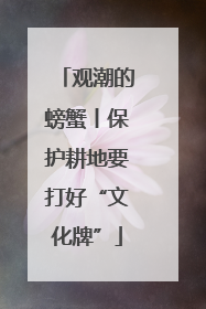 观潮的螃蟹丨保护耕地要打好“文化牌”