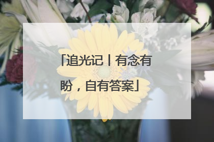 追光记丨有念有盼，自有答案