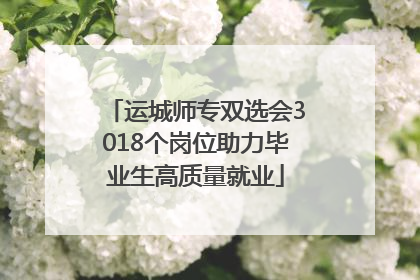 运城师专双选会3018个岗位助力毕业生高质量就业