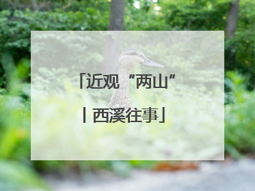 近观“两山”丨西溪往事