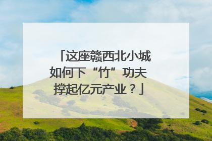 这座赣西北小城如何下“竹”功夫撑起亿元产业？