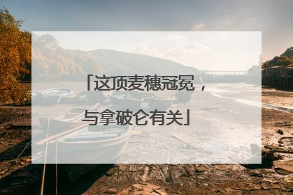 这顶麦穗冠冕，与拿破仑有关