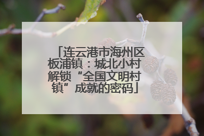 连云港市海州区板浦镇：城北小村解锁“全国文明村镇”成就的密码