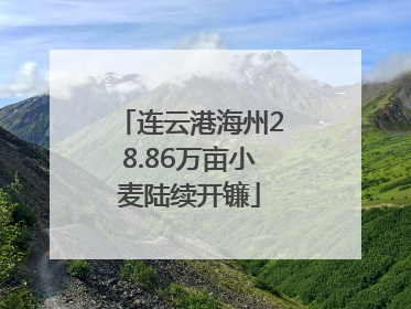连云港海州28.86万亩小麦陆续开镰