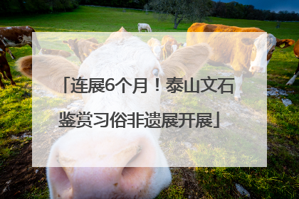 连展6个月！泰山文石鉴赏习俗非遗展开展