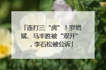 连打三“虎”！罗增斌、马丰胜被“双开”，李石松被公诉