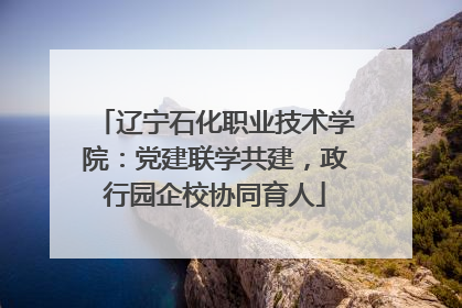 辽宁石化职业技术学院：党建联学共建，政行园企校协同育人