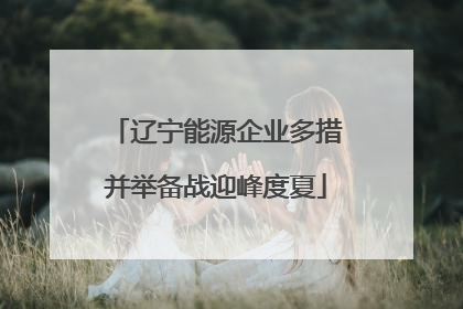 辽宁能源企业多措并举备战迎峰度夏