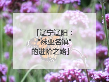 辽宁辽阳：“袜业名镇”的进阶之路