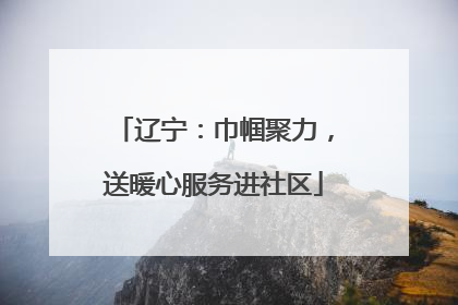 辽宁：巾帼聚力，送暖心服务进社区