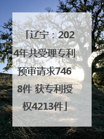 辽宁：2024年共受理专利预审请求7468件 获专利授权4213件