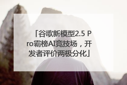 谷歌新模型2.5 Pro霸榜AI竞技场，开发者评价两极分化