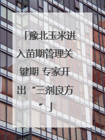 豫北玉米进入苗期管理关键期 专家开出“三剂良方”