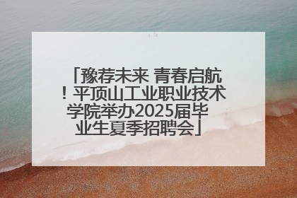 豫荐未来 青春启航！平顶山工业职业技术学院举办2025届毕业生夏季招聘会