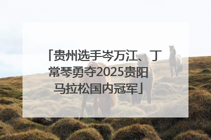 贵州选手岑万江、丁常琴勇夺2025贵阳马拉松国内冠军