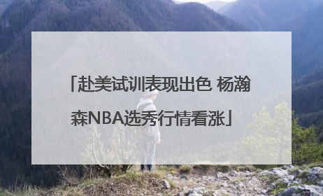 赴美试训表现出色 杨瀚森NBA选秀行情看涨