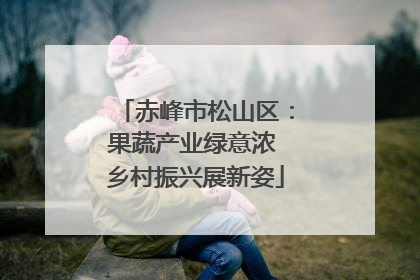 赤峰市松山区：果蔬产业绿意浓 乡村振兴展新姿