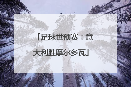 足球世预赛：意大利胜摩尔多瓦
