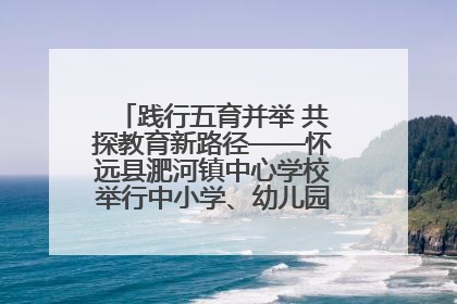 践行五育并举 共探教育新路径——怀远县淝河镇中心学校举行中小学、幼儿园班主任论坛活动