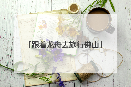 跟着龙舟去旅行佛山