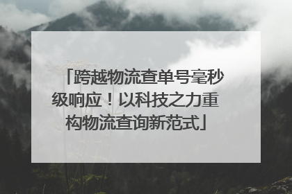 跨越物流查单号毫秒级响应！以科技之力重构物流查询新范式
