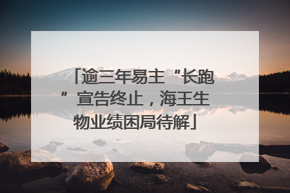 逾三年易主“长跑”宣告终止，海王生物业绩困局待解