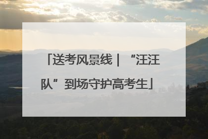 送考风景线｜“汪汪队”到场守护高考生