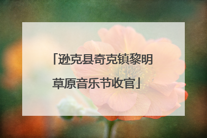 逊克县奇克镇黎明草原音乐节收官