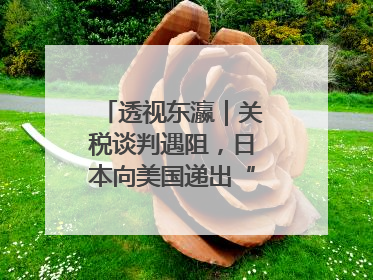 透视东瀛｜关税谈判遇阻，日本向美国递出“投名状”