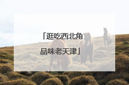逛吃西北角 品味老天津