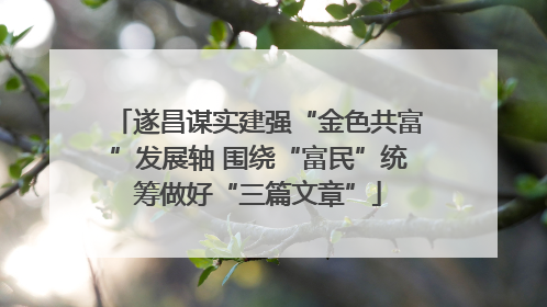 遂昌谋实建强“金色共富”发展轴 围绕“富民”统筹做好“三篇文章”