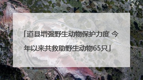 道县增强野生动物保护力度 今年以来共救助野生动物65只