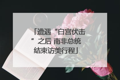 遭遇“白宫伏击”之后 南非总统结束访美行程