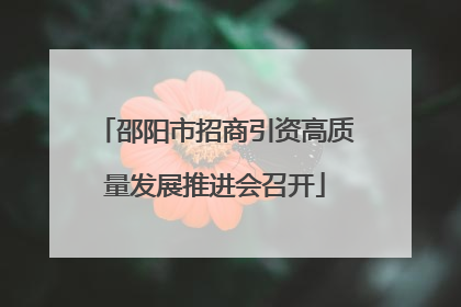 邵阳市招商引资高质量发展推进会召开