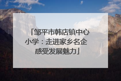 邹平市韩店镇中心小学：走进家乡名企 感受发展魅力