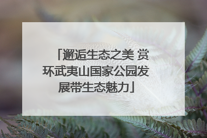 邂逅生态之美 赏环武夷山国家公园发展带生态魅力