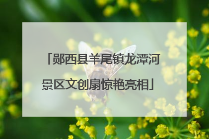 郧西县羊尾镇龙潭河景区文创扇惊艳亮相