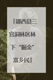 郧西县三官洞林区林下“掘金”富乡民
