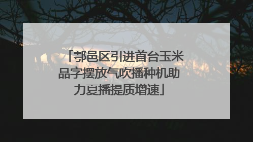 鄠邑区引进首台玉米品字摆放气吹播种机助力夏播提质增速