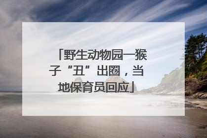 野生动物园一猴子“丑”出圈，当地保育员回应