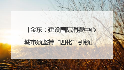 金东：建设国际消费中心城市须坚持“四化”引领