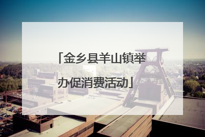 金乡县羊山镇举办促消费活动