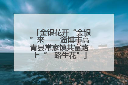 金银花开“金银”来——淄博市高青县常家镇共富路上“一路生花”