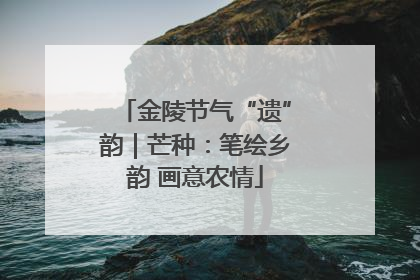 金陵节气“遗”韵｜芒种：笔绘乡韵 画意农情