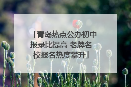 青岛热点公办初中报录比提高 老牌名校报名热度攀升