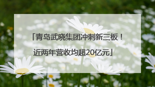 青岛武晓集团冲刺新三板！近两年营收均超20亿元